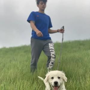 Meet your Posher, David